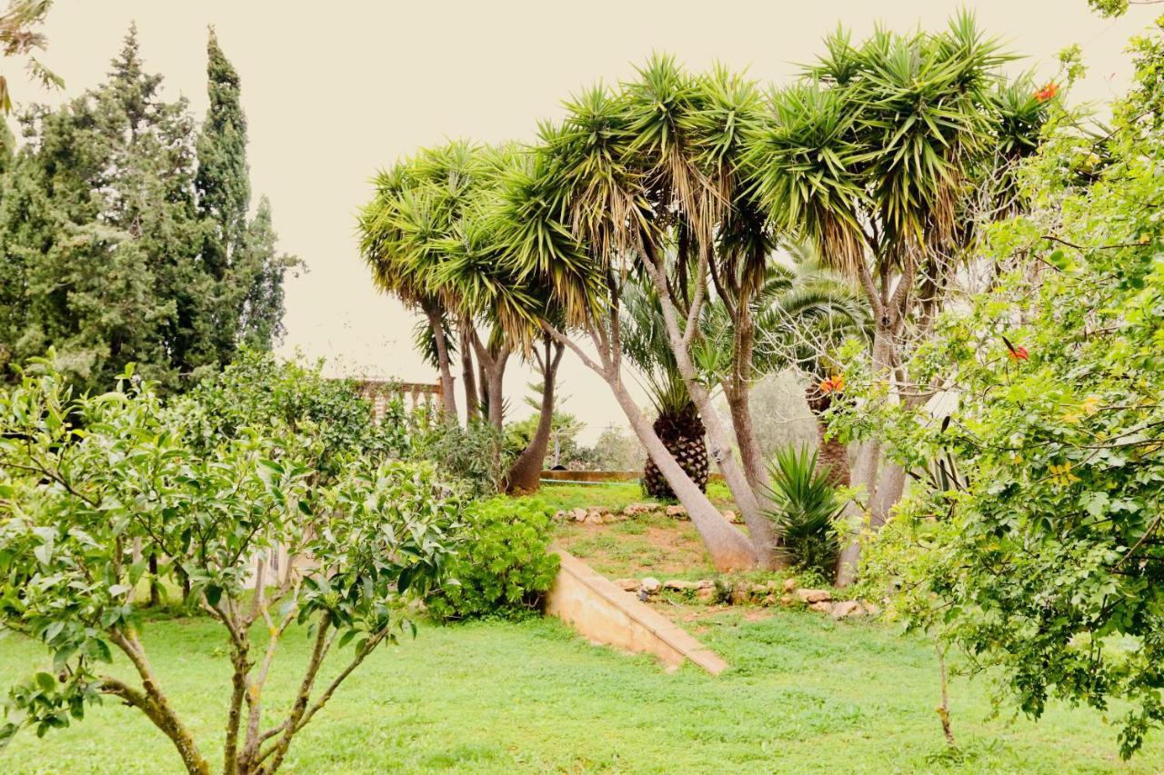 Finca Randa, Llucmayor, Bis 3 Sz, Pool, Garten ยูคมายอร์ ภายนอก รูปภาพ
