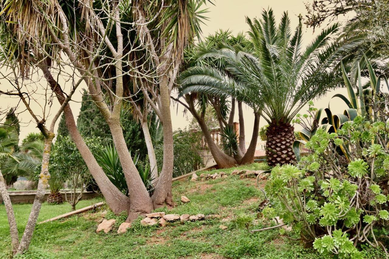 Finca Randa, Llucmayor, Bis 3 Sz, Pool, Garten ยูคมายอร์ ภายนอก รูปภาพ