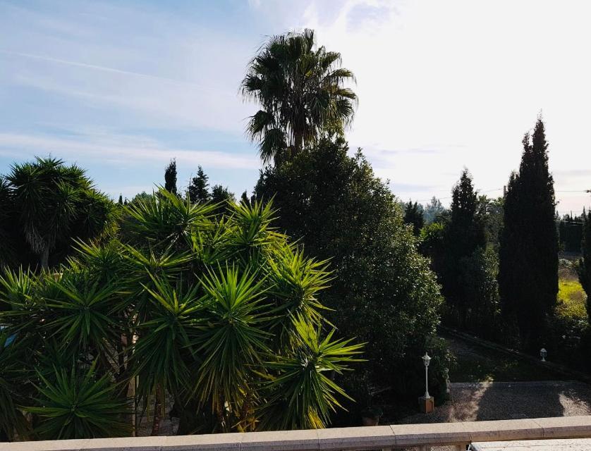 Finca Randa, Llucmayor, Bis 3 Sz, Pool, Garten ยูคมายอร์ ภายนอก รูปภาพ